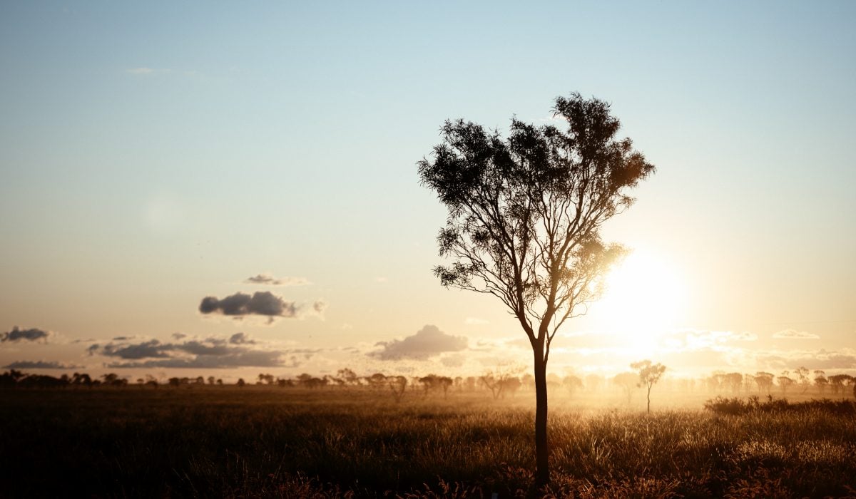 Opera Queensland appoints new Director of Learning, Regional and Community