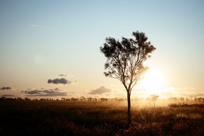 Opera Queensland appoints new Director of Learning, Regional and Community